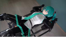 あなたはラテックスコスプレイヤー それともトイ ドッグ
